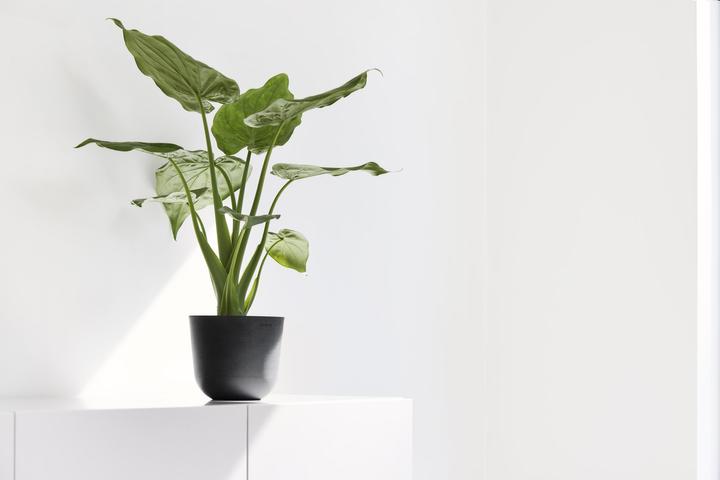 Immagine prodotto Ecopots Oslo Mini (16 cm)