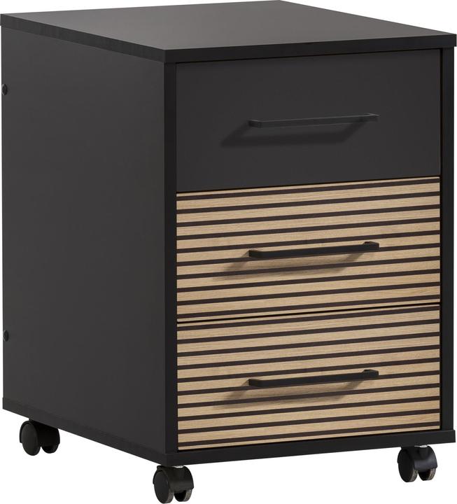 Schildmeyer Hank (40.10 x 50 x 57 cm)