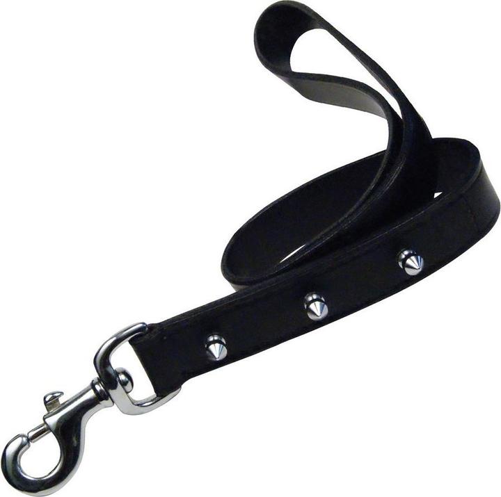 Gloria Laisse pour chien noir 60 cm (60, Chien, Général, Promenade)