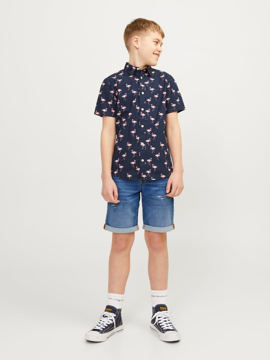 Actual product image Jack & Jones Regular Fit Regular Fit Shorts For boys Regular Fit Shorts (152)