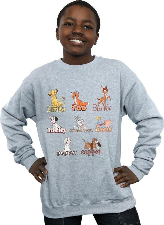 Produktbild Disney Little Friends Animals Sweatshirt Jungen (152, 158)