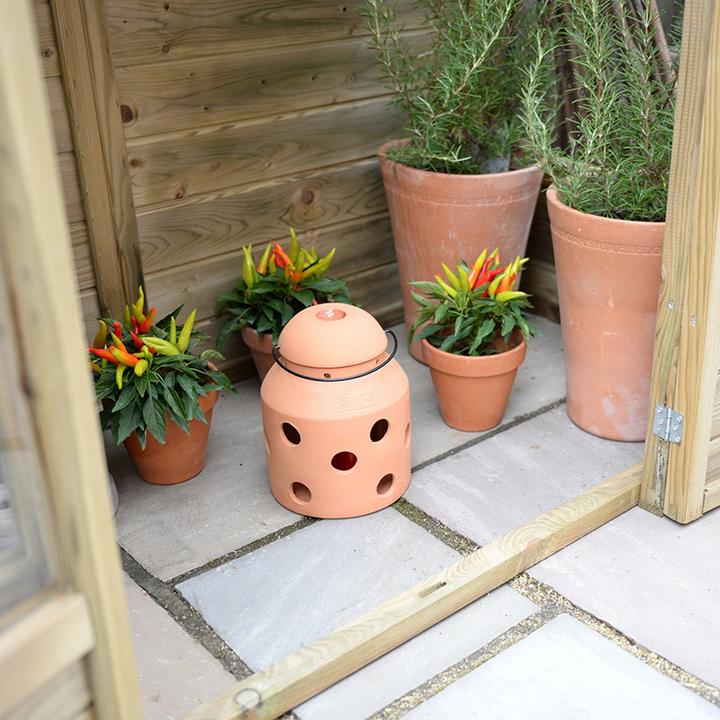 Produktbild Bio Green Firefly