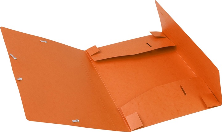 Actual product image Exacompta Archive boxes (A4)