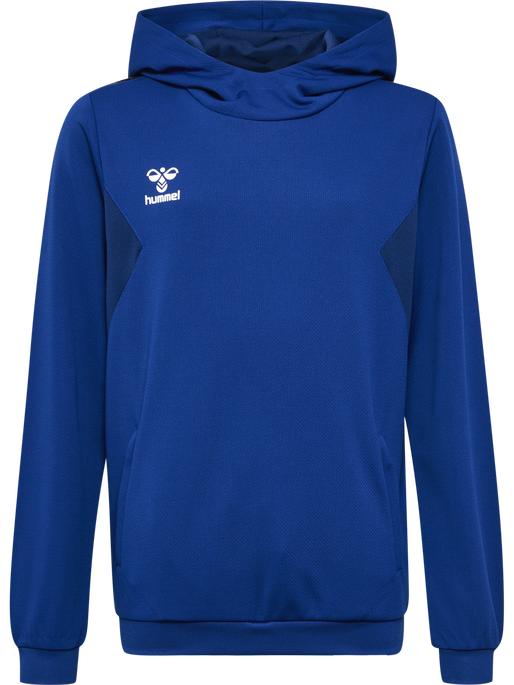 Produktbild hummel Hmlauthentic Pl Hoodie Kids (140)