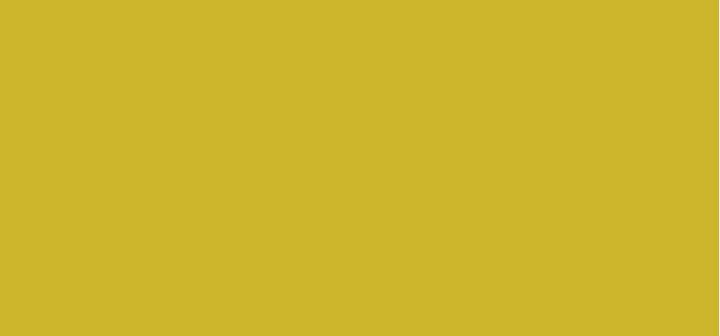 4 Lemon Pop