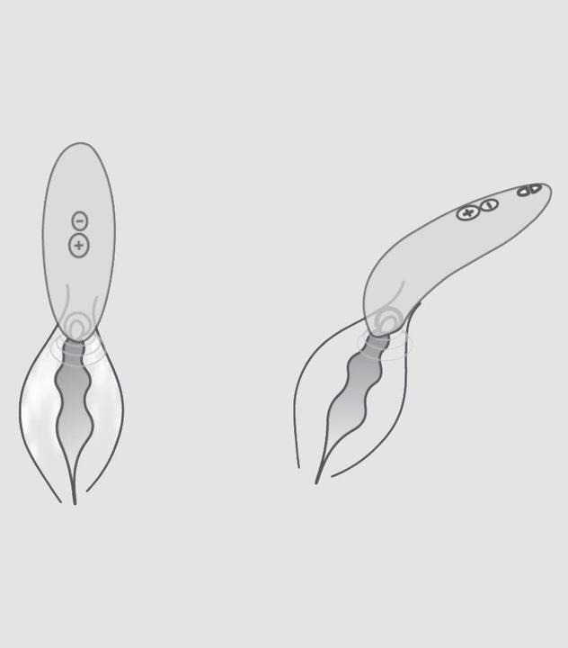 Actual product image We-Vibe Melt