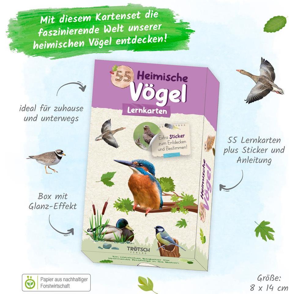 Trötsch 55 Lernkarten Heimische Vögel