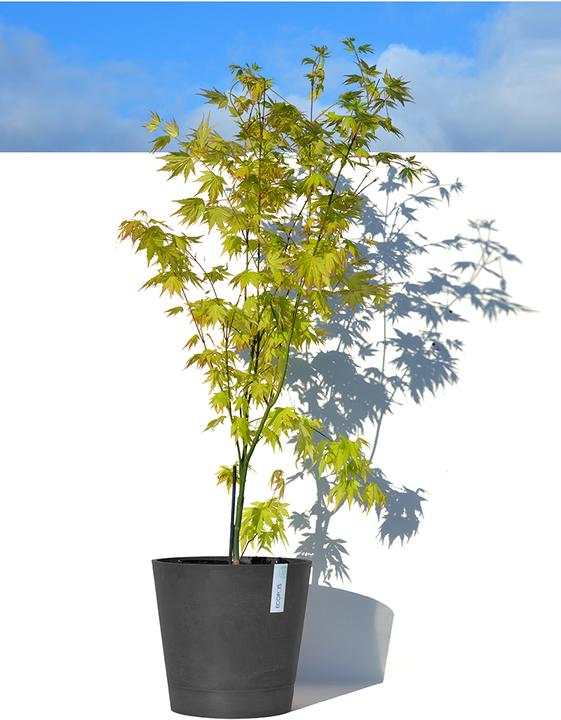 Produktbild Ecopots Venice (30 cm)