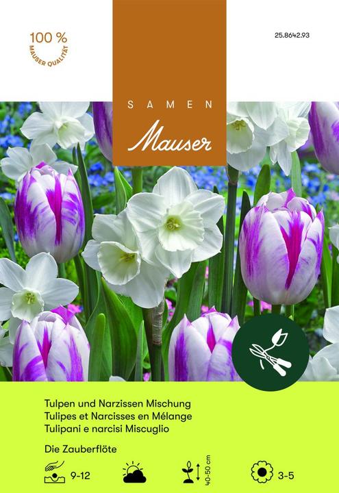 Actual product image Samen Mauser The Magic Flute Mixture (Flower bulbs)