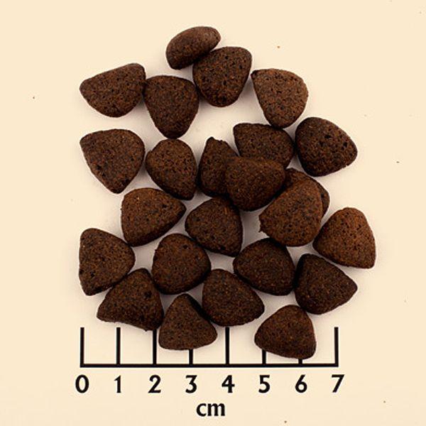 Actual product image Wolfsblut Wide Plain (Adult, 1 pcs., 12500 g)