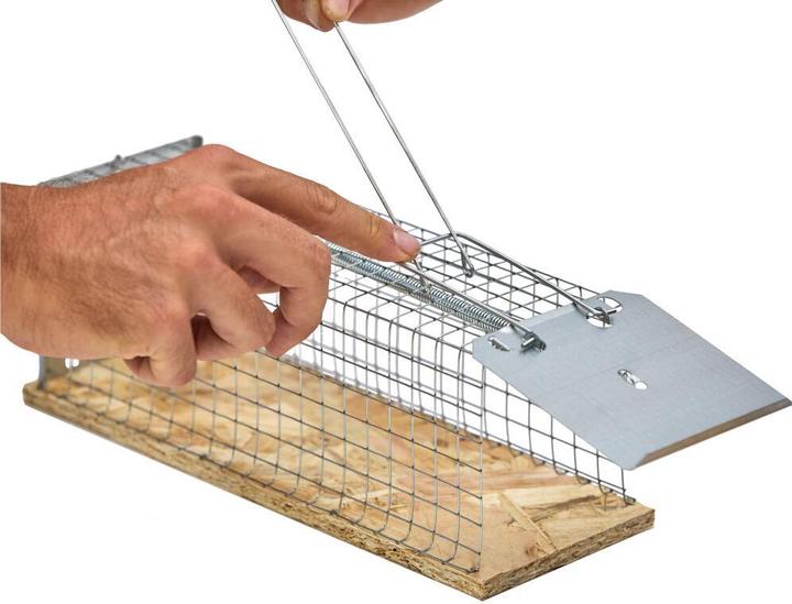 Produktbild Deufa Drahtkäfigrattenfalle Luna 014003