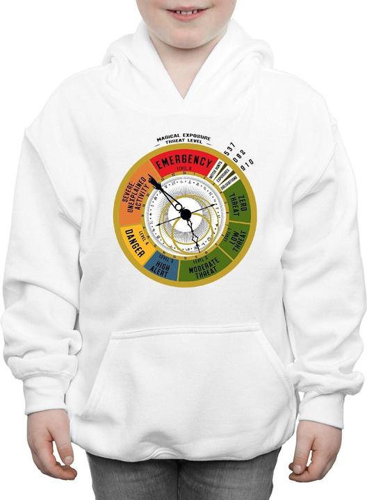 Actual product image Fantastic Beasts Boys Threat Level Hoodie (152, 158)