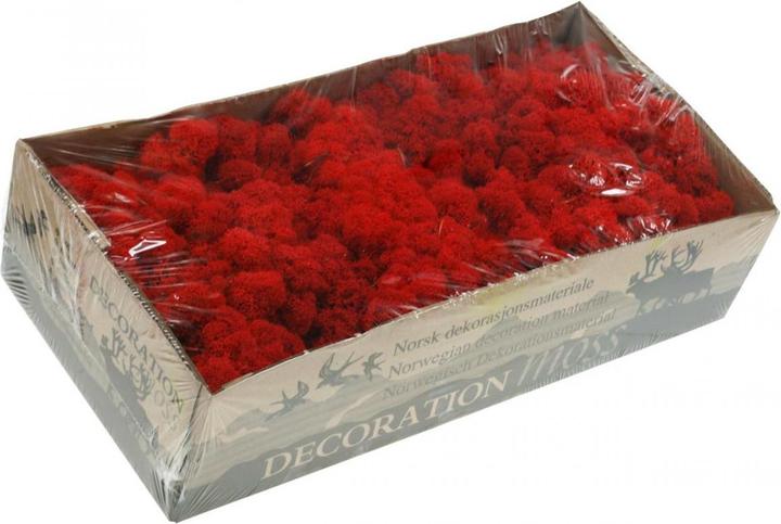 Actual product image Flowerbox Iceland moss