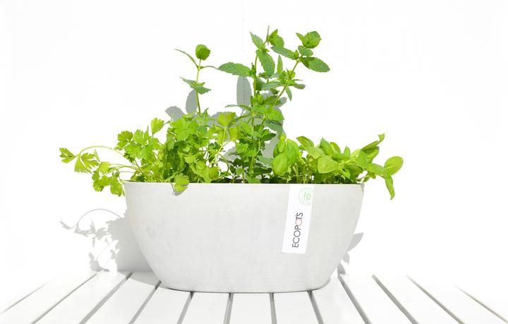 Produktbild Ecopots Sofia (13 cm)