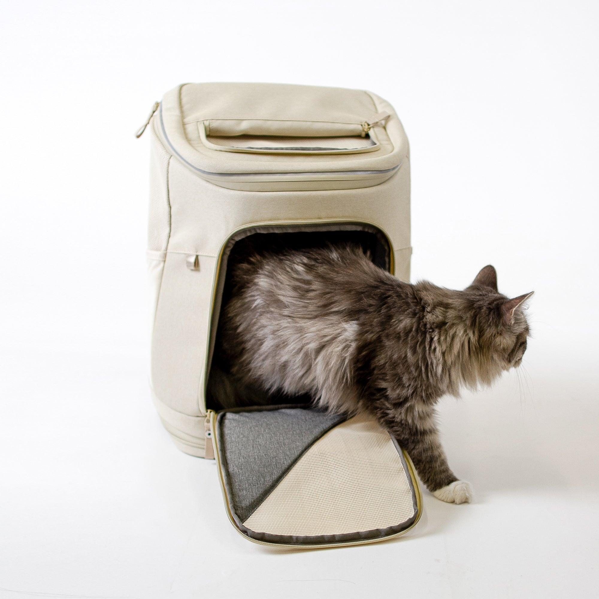 LucyBalu HOP-ON Katzenrucksack buy at Galaxus