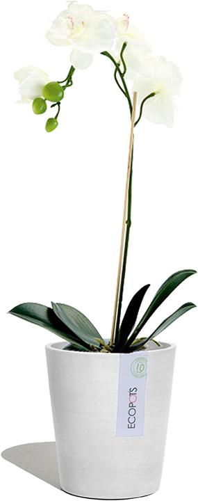 Produktbild Ecopots Morinda (14 cm)