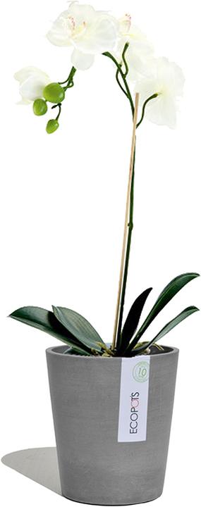 Produktbild Ecopots Morinda (14 cm)