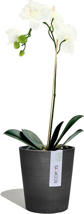 Produktbild Ecopots Morinda (14 cm)
