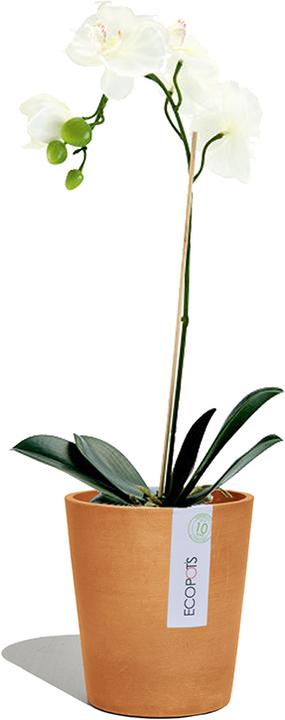 Produktbild Ecopots Morinda