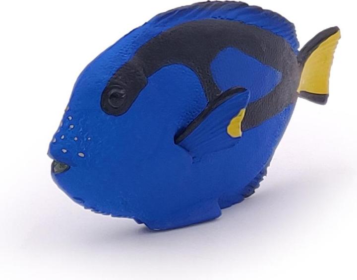 Produktbild Papo Doktorfisch