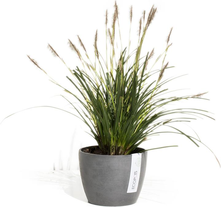 Produktbild Ecopots Stockholm (16 x 12.50 cm)