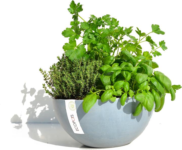 Actual product image Ecopots Brussels