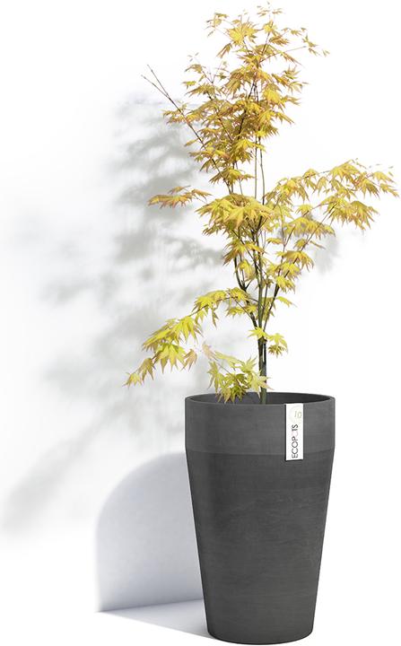 Actual product image Ecopots Sankara