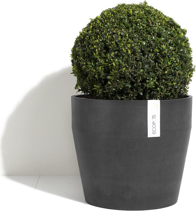 Actual product image Ecopots Sankara
