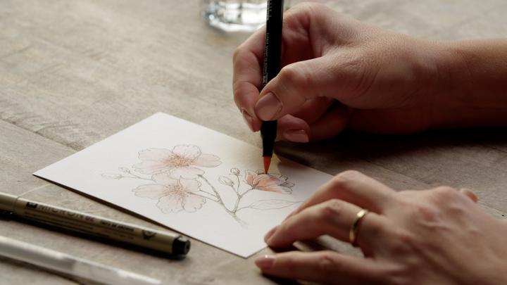 Productafbeelding Sakura Kreativ Kit (Kersenbloesem, 3x)