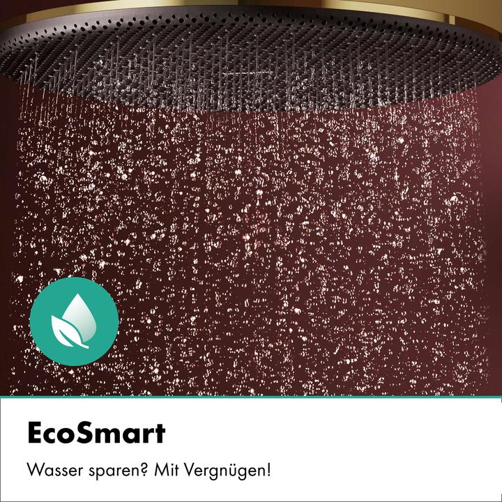 Actual product image hansgrohe Raindance Alive S PURO système de douche 300 1jet EcoSmart avec élément Ecostat, 24593990, 24593990