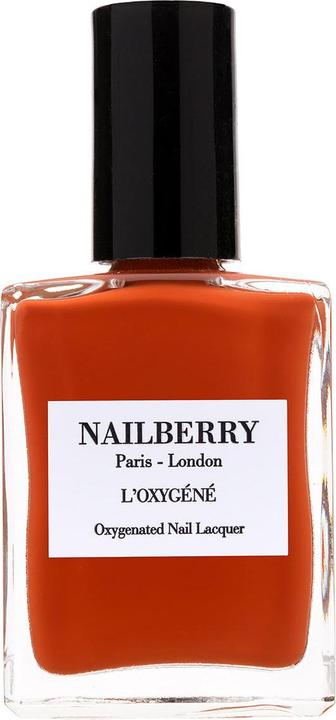 3166764 terracotta speziata