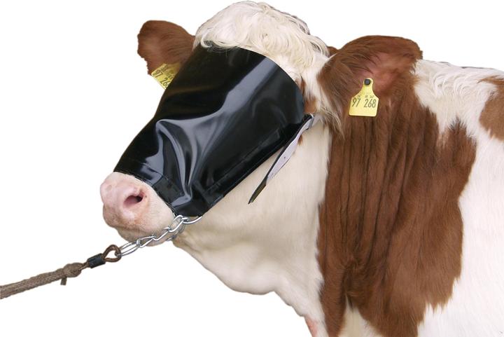 Actual product image Kerbl Cow halter with cattle blind and chin chain