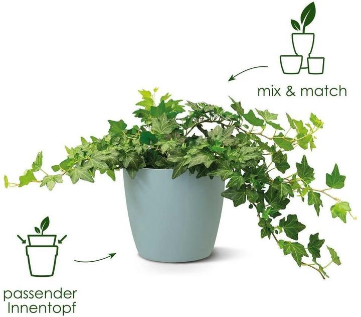 Produktbild Elho Brussels (14 x 13 cm)