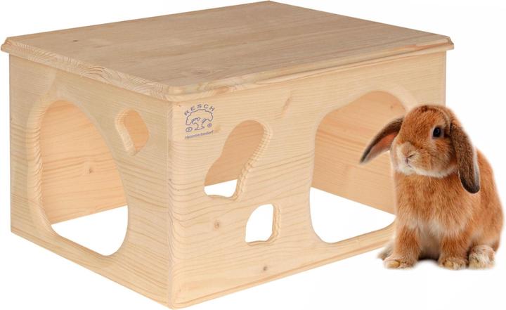 Rabbit burrow