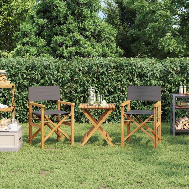 Produktbild VidaXL Regiestühle 2 Stk. Klappbar Teak