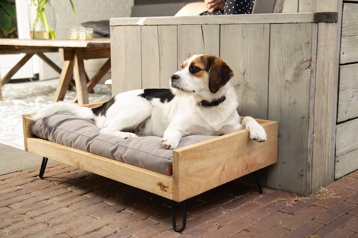 Actual product image Designed by Lotte Turana wooden bed (Dog)
