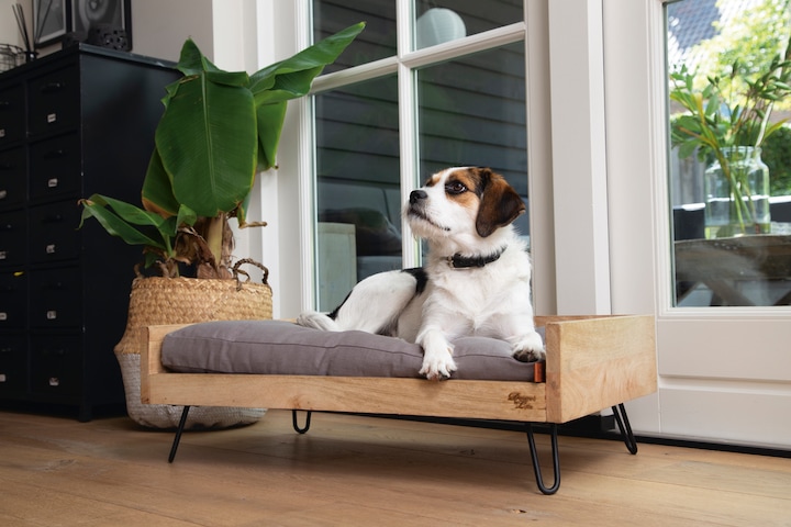Actual product image Designed by Lotte Turana wooden bed (Dog)