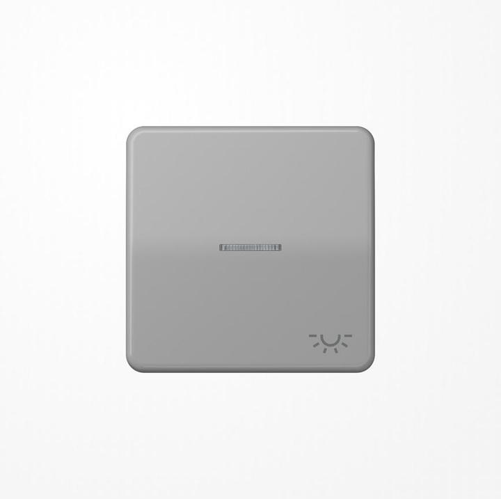 Actual product image JUNG Control rocker switch CD lgr glz light CD590KO5LGR