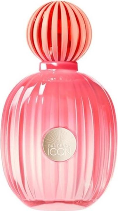 Immagine prodotto NoName The Icon Splendid Eau de Parfum 100ml (Eau de parfum, 100 ml)