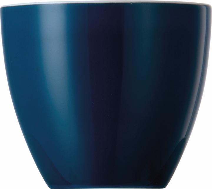 Produktbild Thomas 10850-408534-15520 (1x)