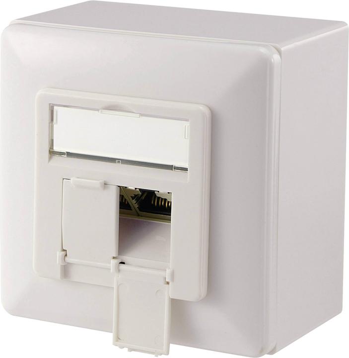 Actual product image Digitus junction box