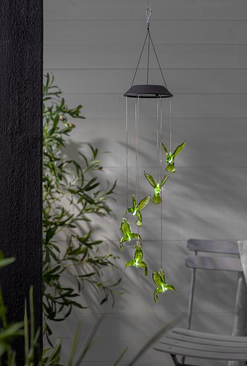 Immagine prodotto Star Trading Colibrì