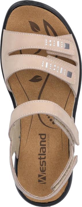 Actual product image Westland 16786-1 (37)