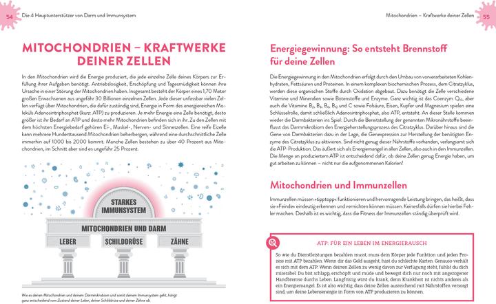 Produktbild Immunpower (Deutsch, Friederike Feil, 2021)