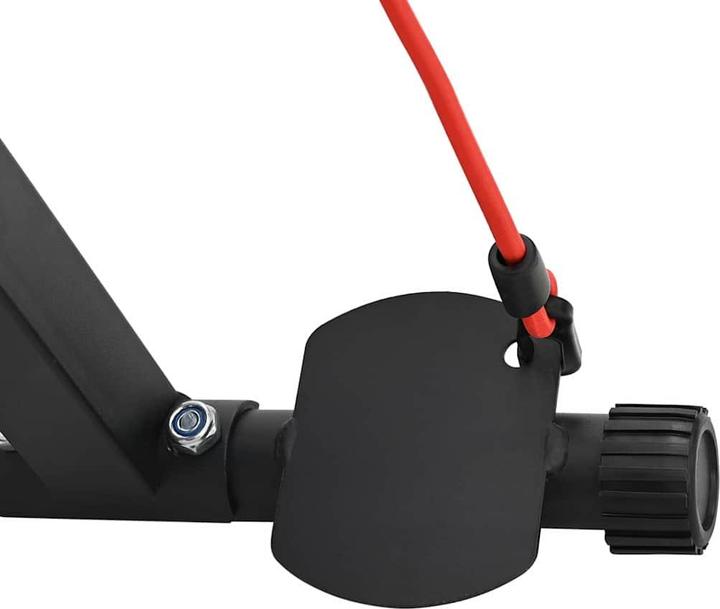 Actual product image vidaXL Hantelbank