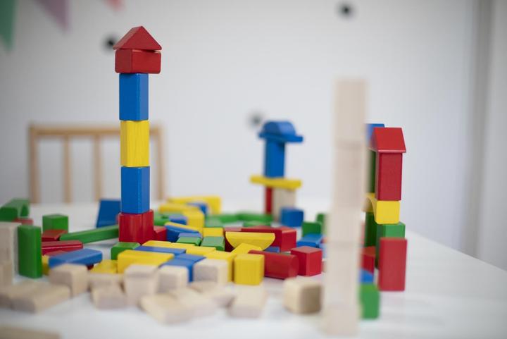 Actual product image Eichhorn Building blocks