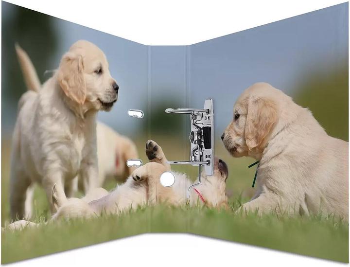 Actual product image HERMA A4 folder motif (A4, 70 mm, 1 pcs.)