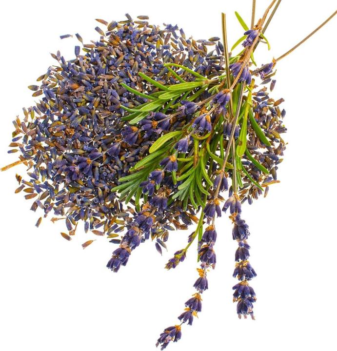 Image du produit Glorex Fleurs