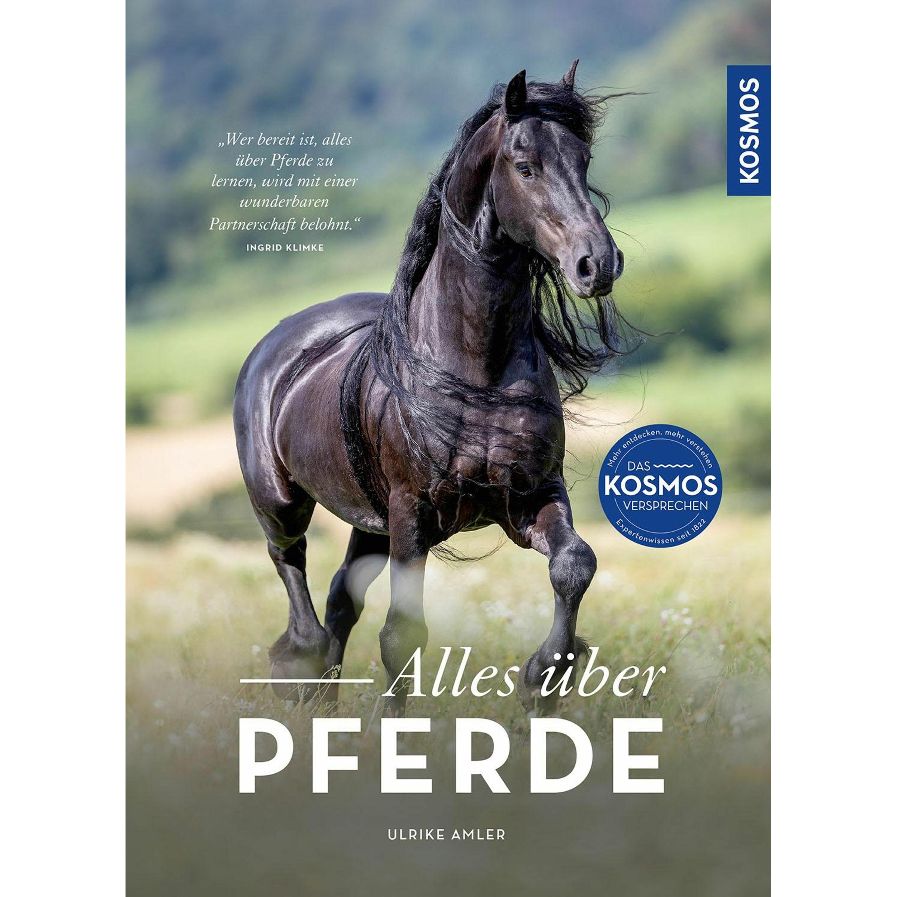 Thumbnail - Alles über Pferde, Ratgeber von Ulrike Amler