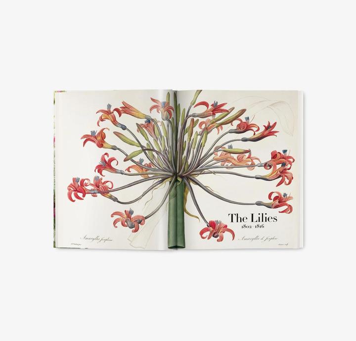 Produktbild Redouté. The Book of Flowers (Deutsch, H. Walter Lack, 2017)